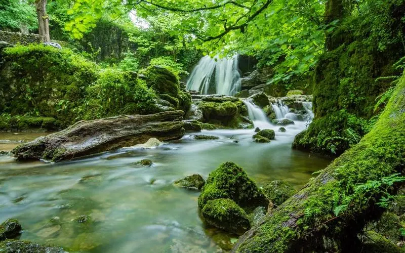 高效环保智能系统
